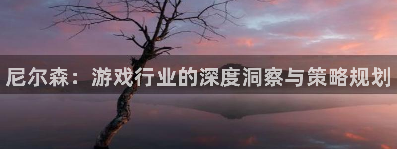 辉达娱乐平台注册开户：尼尔森：游戏行业的深度洞察与策略规划
