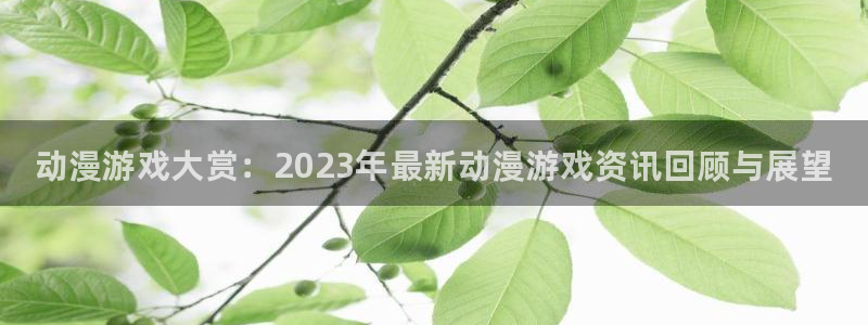 辉达娱乐平台登录线路：动漫游戏大赏：2023年最新动漫游戏资