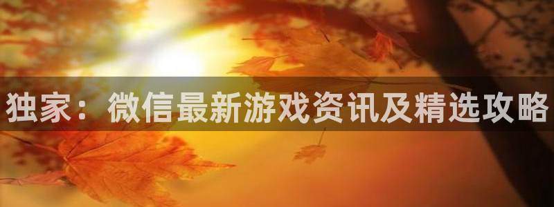 辉达娱乐平台负责人：独家：微信最新游戏资讯及精选攻略