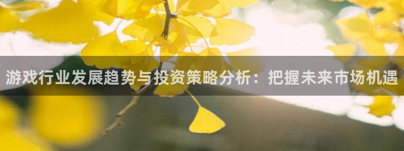 辉达娱乐网页登录入口下载：游戏行业发展趋势与投资策略分析：把