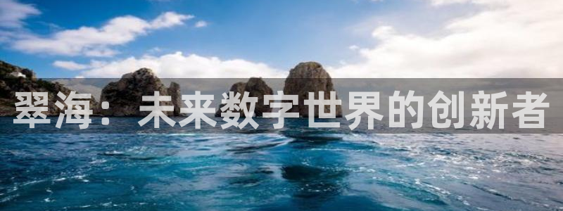 辉达娱乐注册服务条款：翠海：未来数字世界的创新者