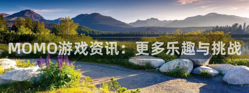 辉达娱乐官网：MOMO游戏资讯：更多乐趣与挑战