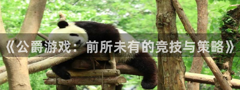 辉达娱乐在线登录：《公爵游戏：前所未有的竞技与策略》