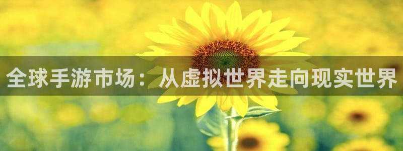 辉达娱乐官网登录：全球手游市场：从虚拟世界走向现实世界