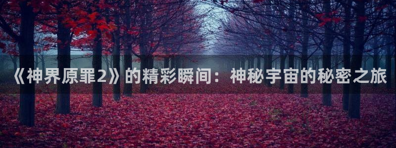 辉达娱乐平台官网客服电话：《神界原罪2》的精彩瞬间：神秘宇宙
