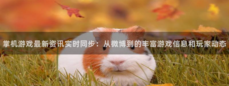 辉达娱乐测速