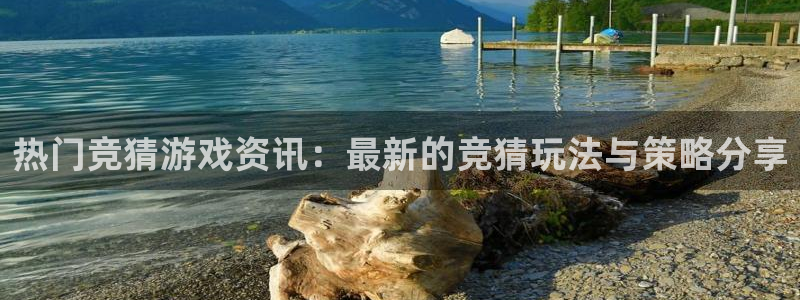 辉达娱乐4开户：热门竞猜游戏资讯：最新的竞猜玩法与策略分享