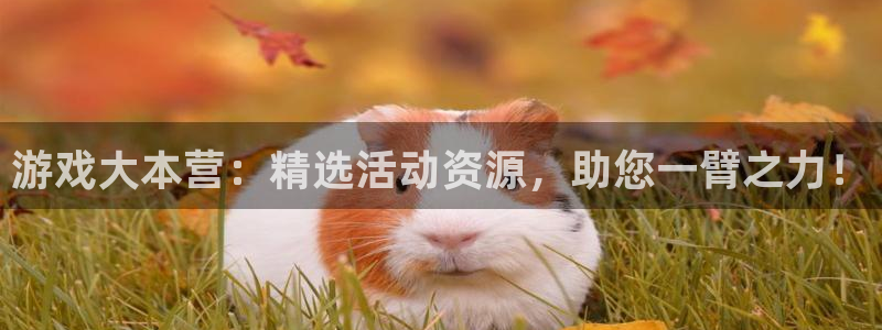 辉达娱乐平台官方网站：游戏大本营：精选活动资源，助您一臂之力