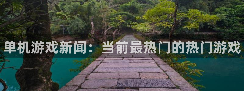 辉达娱乐官方平台