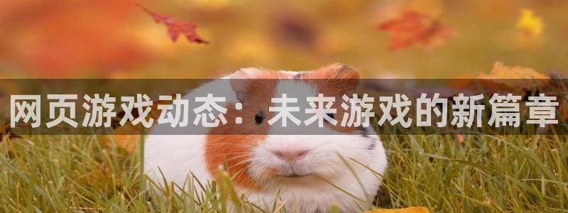 沐春辉达娱乐：网页游戏动态：未来游戏的新篇章